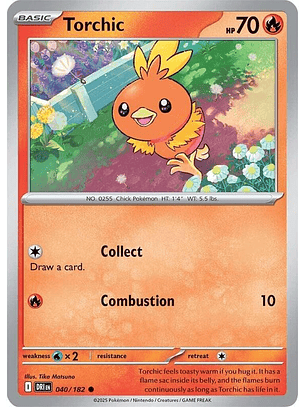 Torchic #040