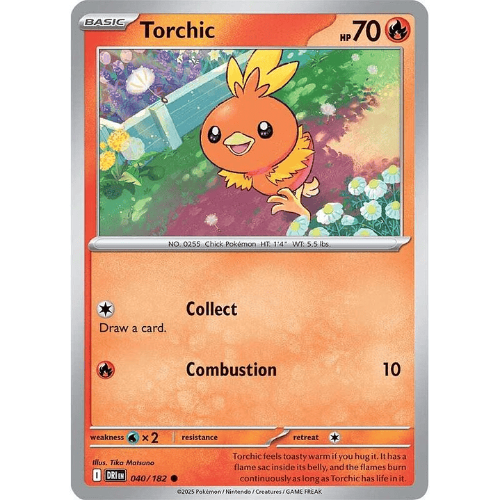 Torchic #040 1