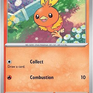 Torchic #040