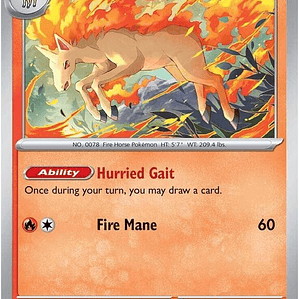 Rapidash #030