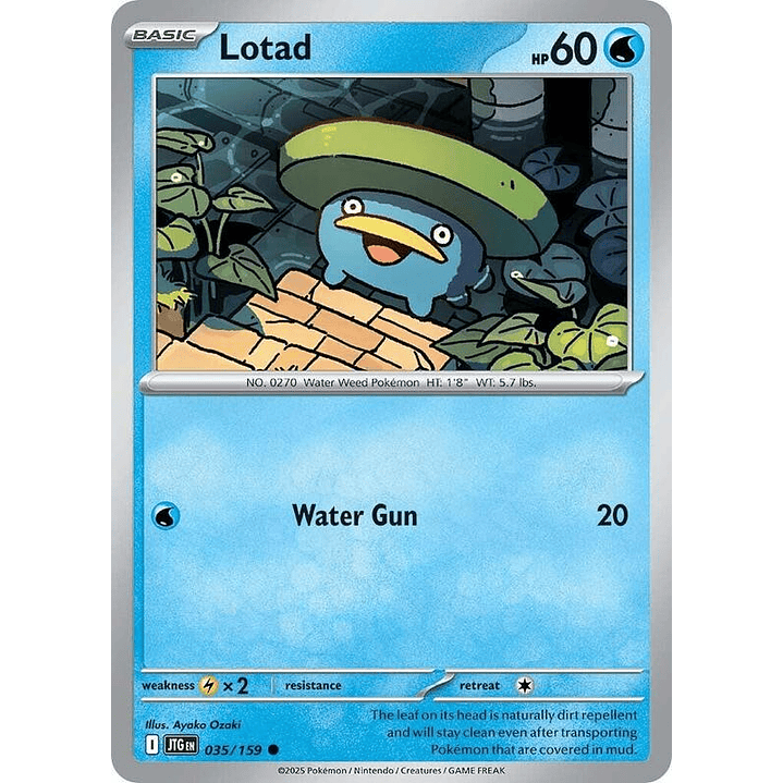 Lotad #035 1