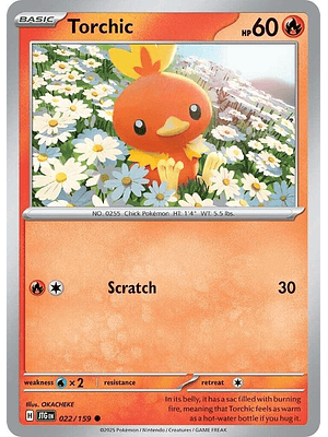 Torchic #022