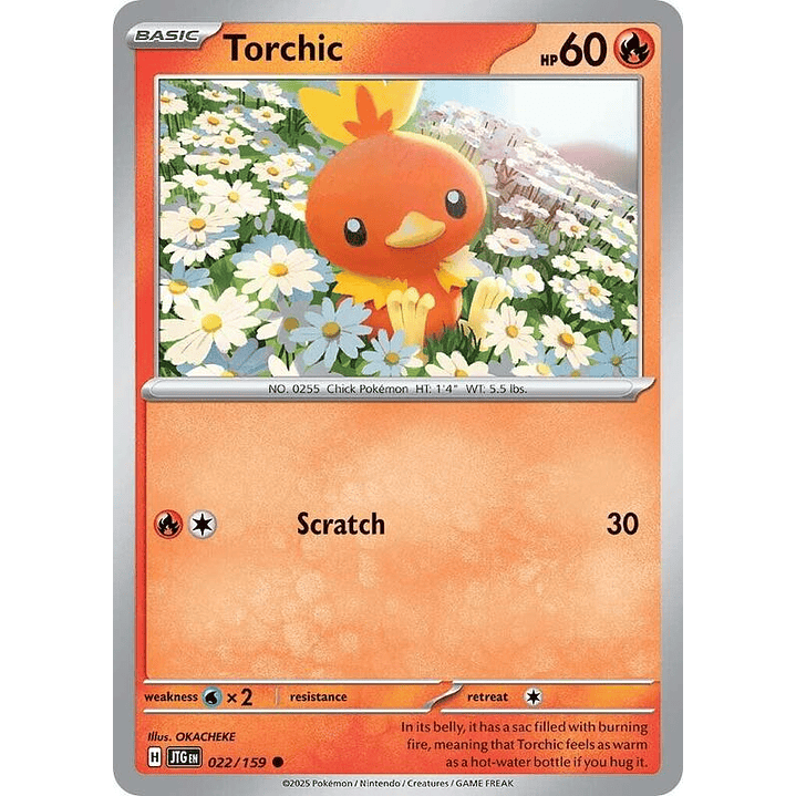 Torchic #022 1