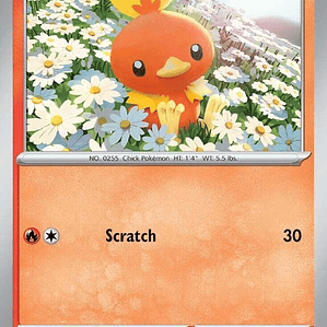 Torchic #022
