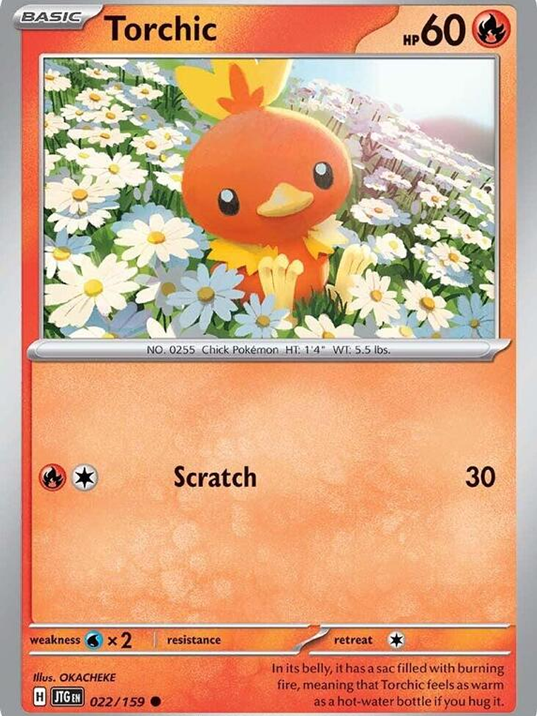 Torchic #022 1