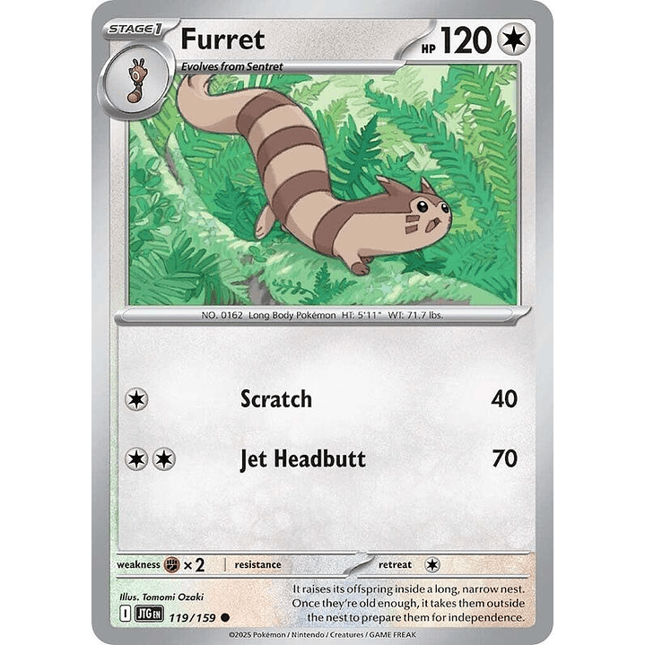 Furret #119 1