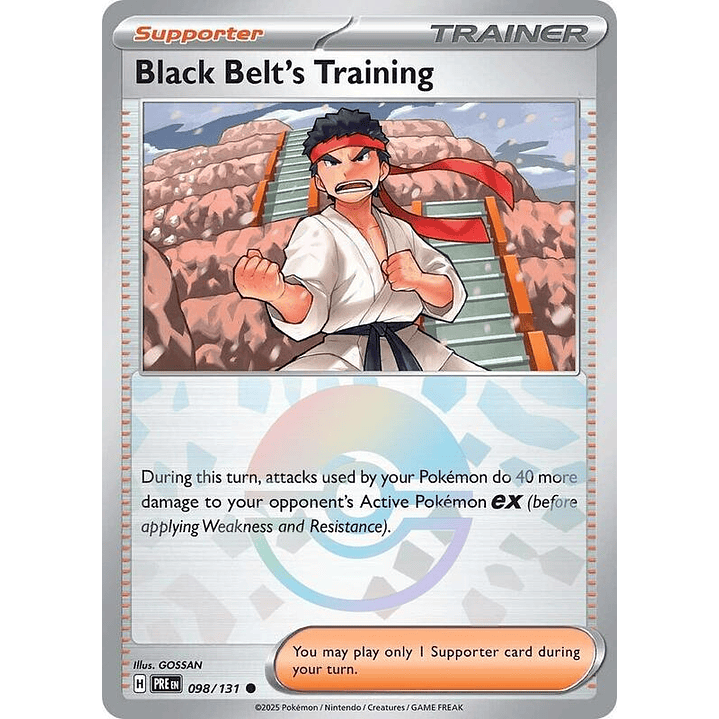Black Belt's Training (Poke Ball Pattern) #098 1