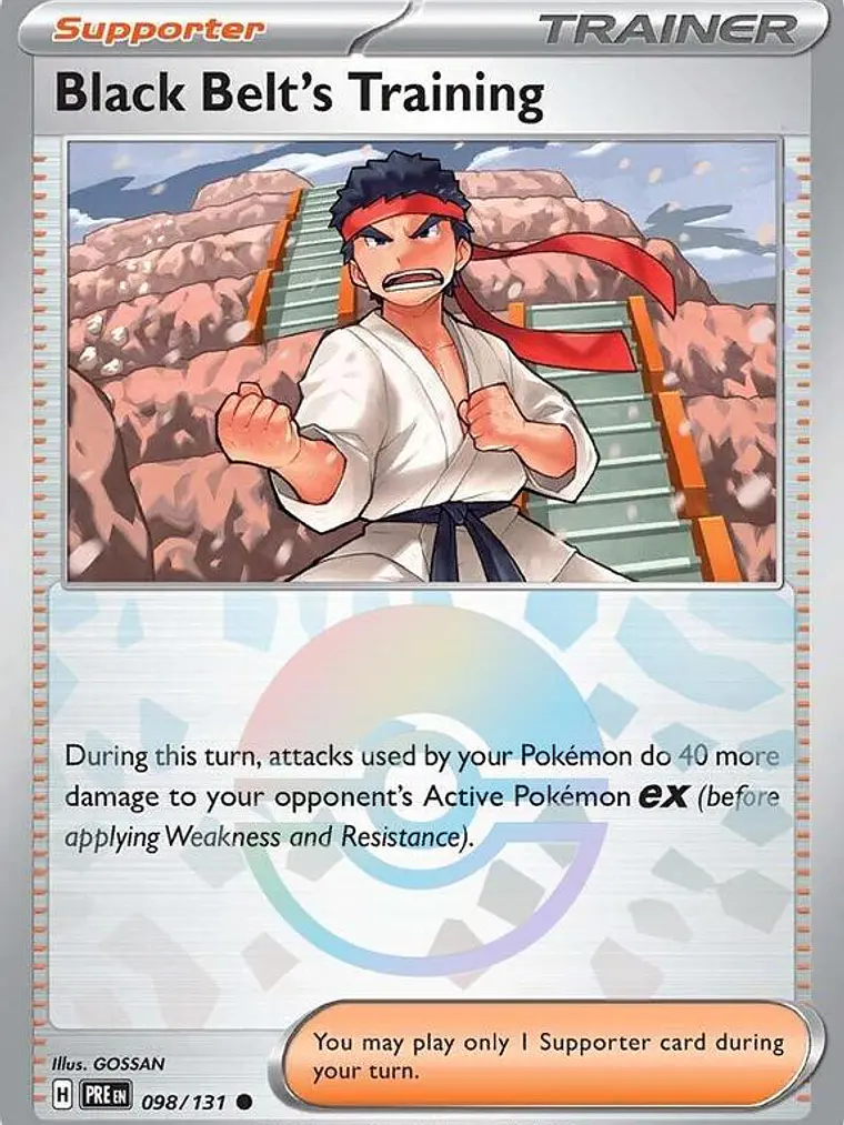 Black Belt's Training (Poke Ball Pattern) #098 1