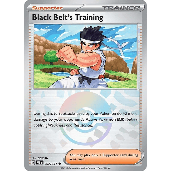 Black Belt's Training (Poke Ball Pattern) #097 1