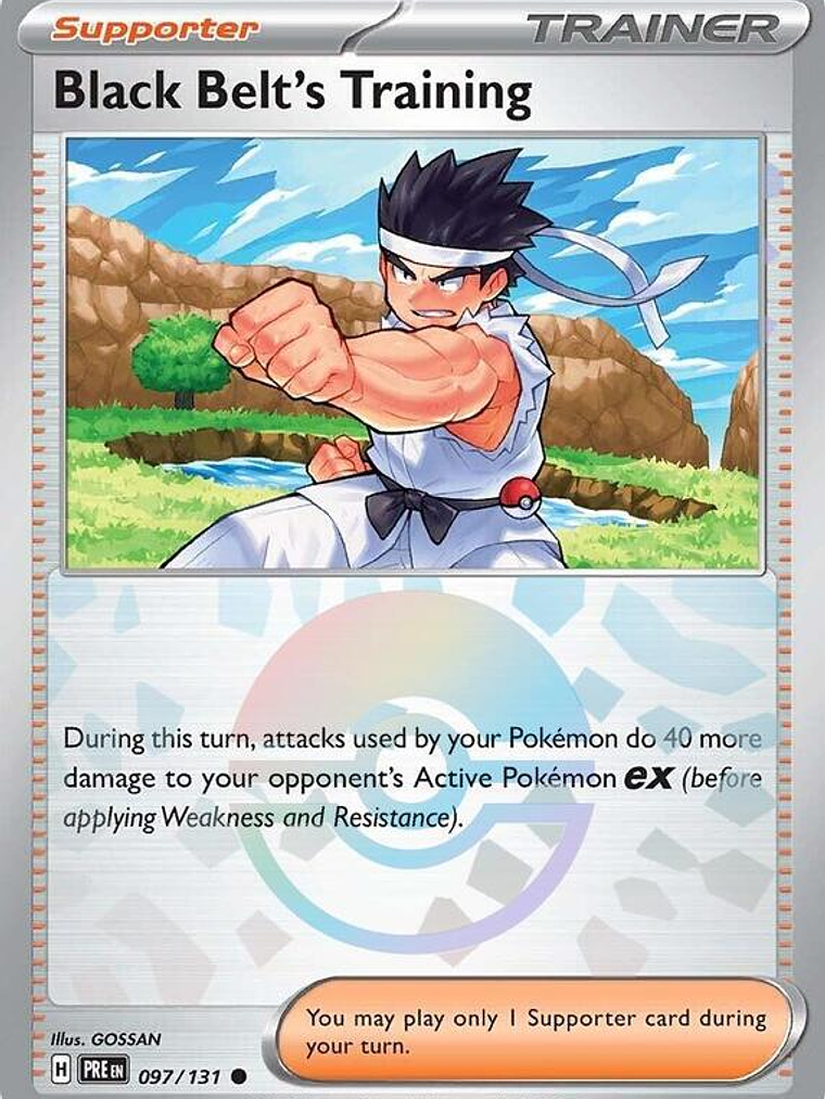 Black Belt's Training (Poke Ball Pattern) #097 1