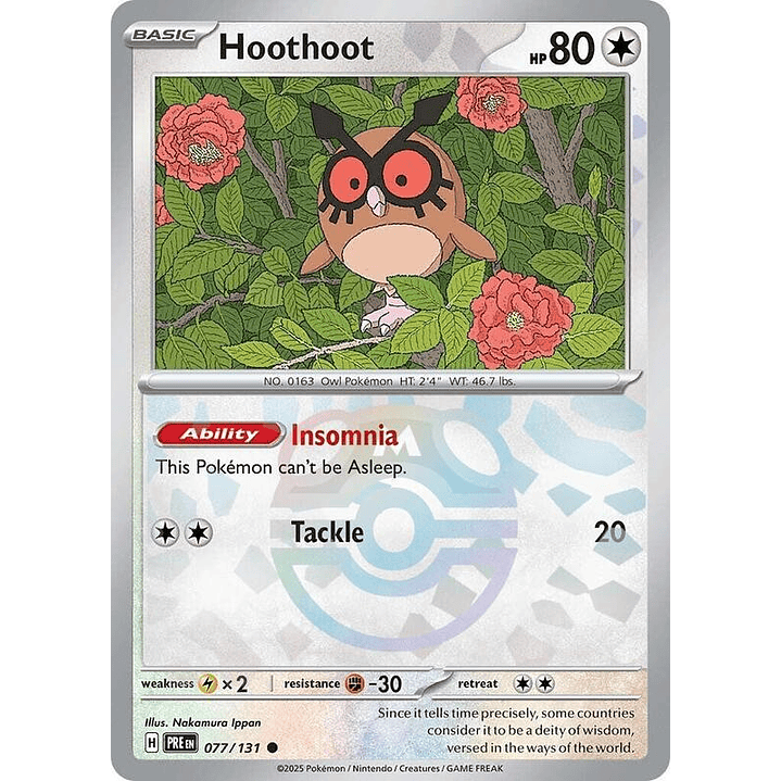 Hoothoot (Master Ball Pattern) #077 1