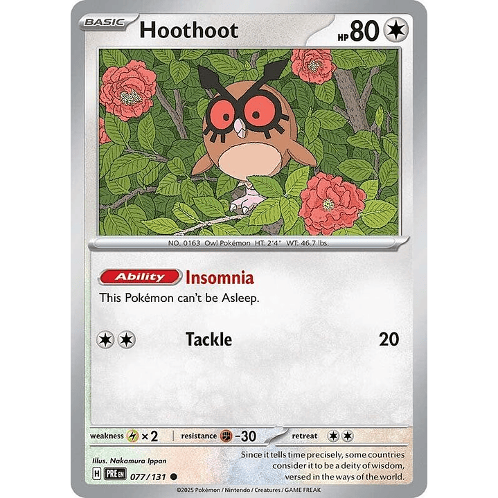 Hoothoot #077 1