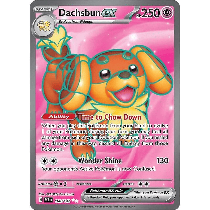 Dachsbun ex #160 1