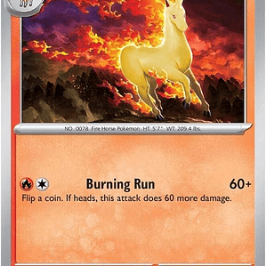 Rapidash #020