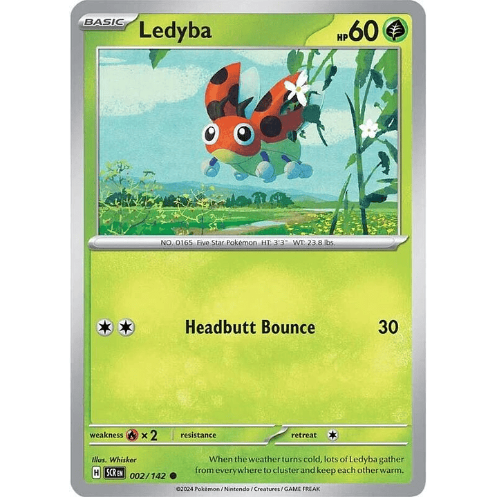 Ledyba #002 1