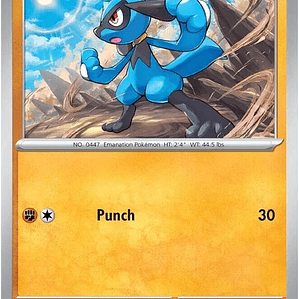 Riolu #081