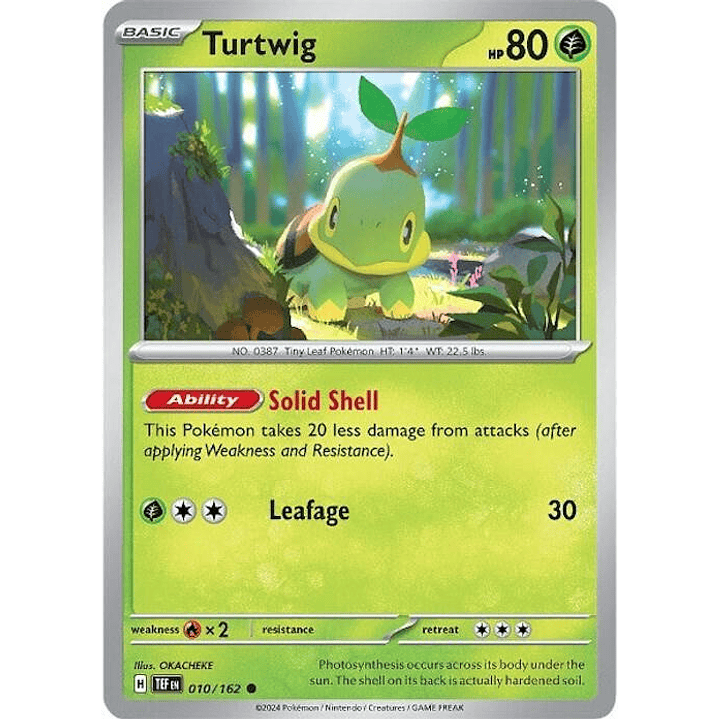 Turtwig #010 1