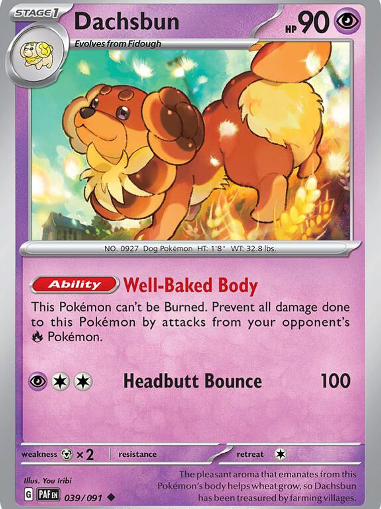 Dachsbun #039 1