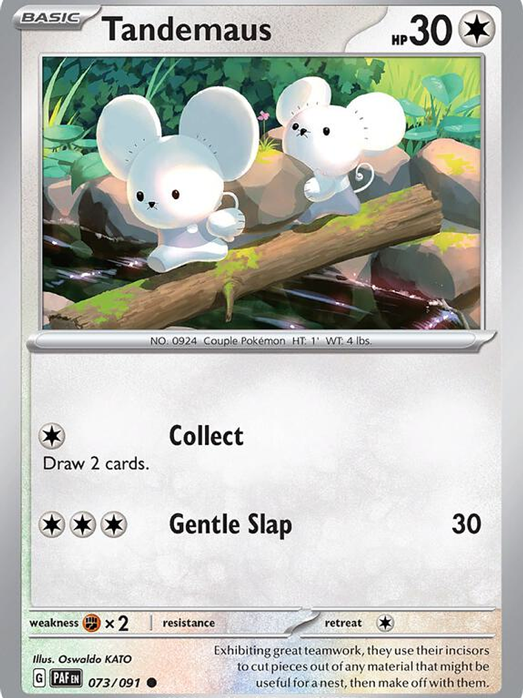 Tandemaus #073 1