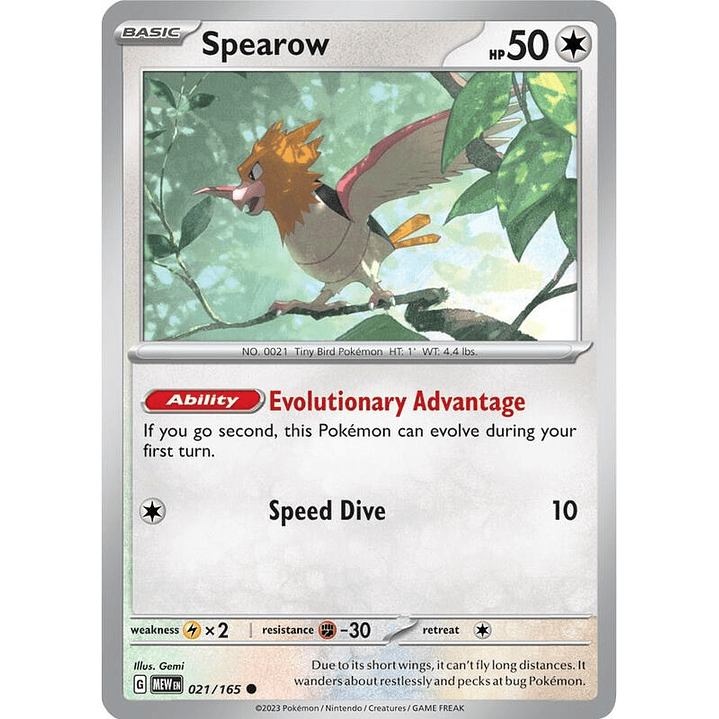 Spearow #021 1