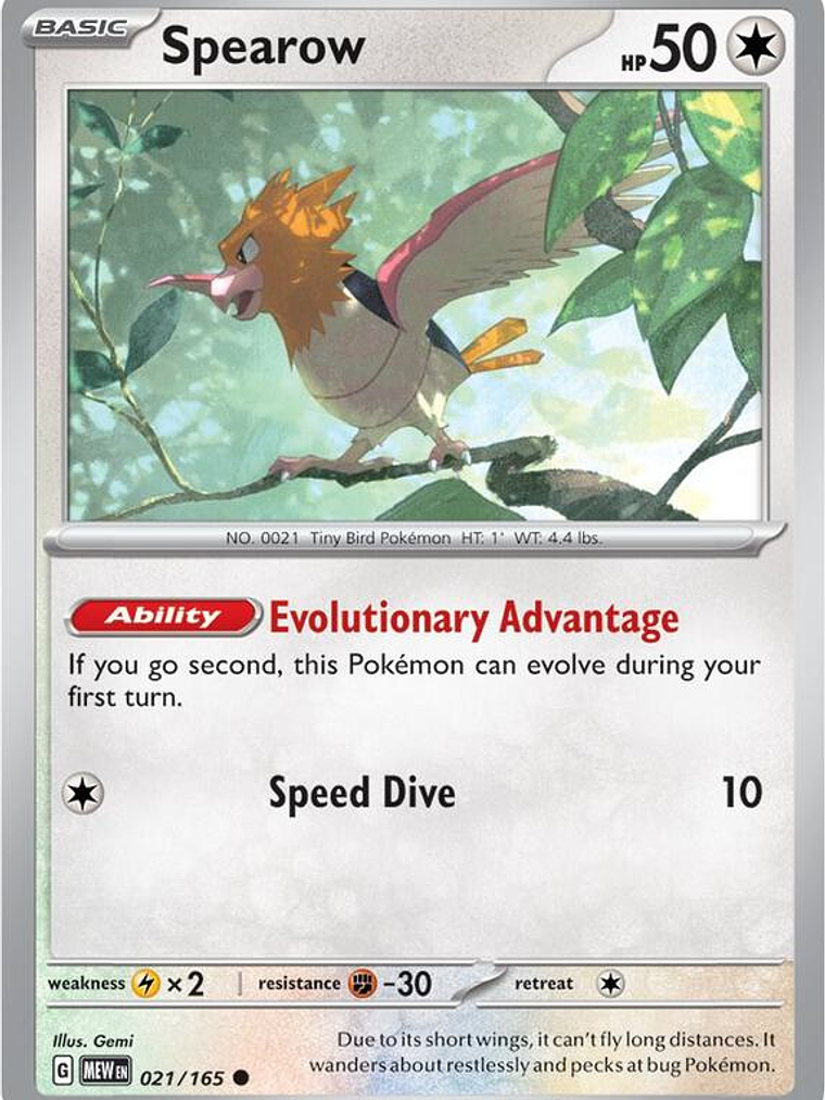 Spearow #021 1