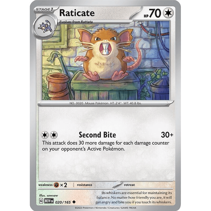 Raticate #020 1