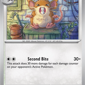 Raticate #020