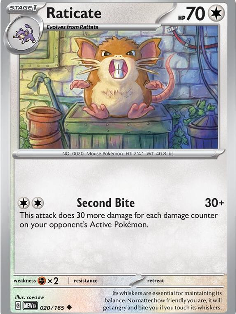 Raticate #020 1