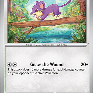 Rattata #019