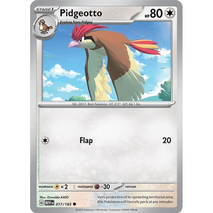 Pidgeotto #017 1
