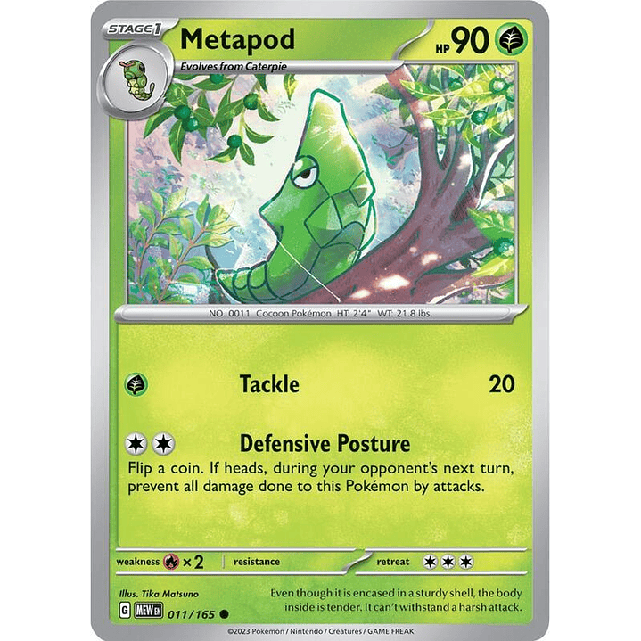 Metapod #011 1