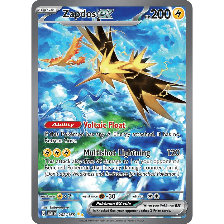 Zapdos ex #202 1
