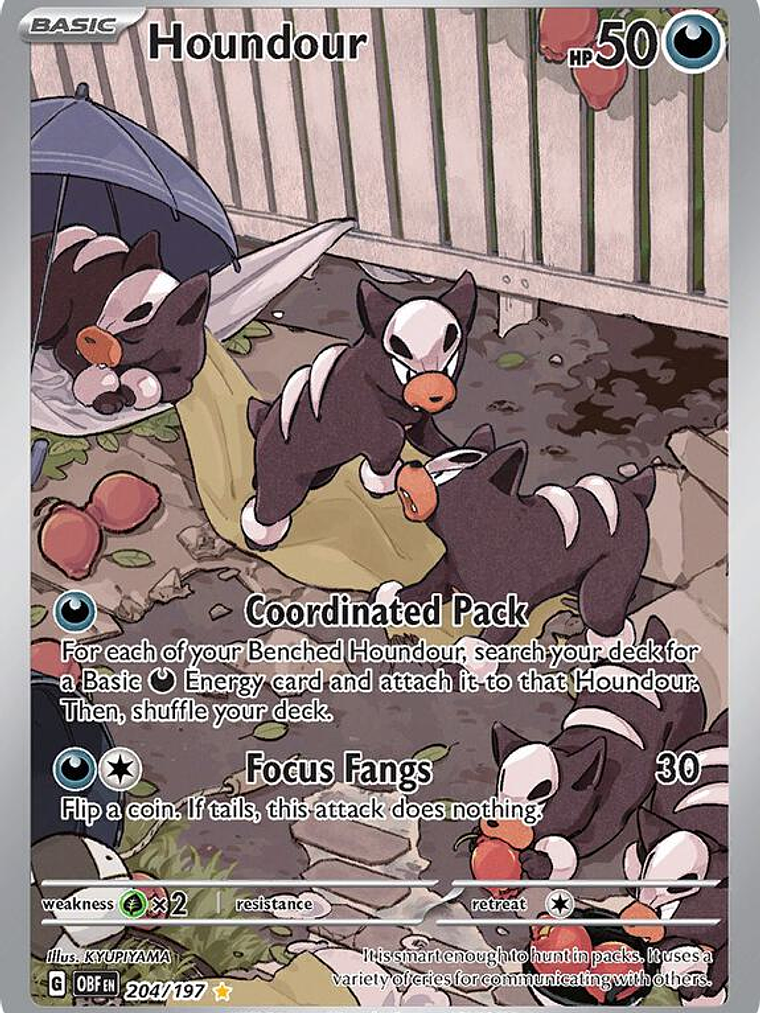 Houndour #204 1