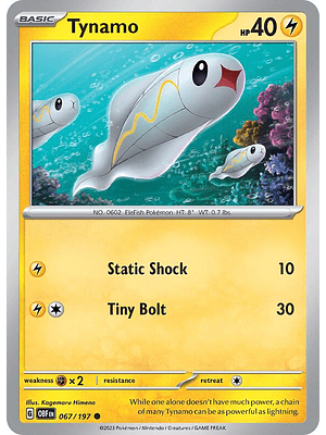 Tynamo #067