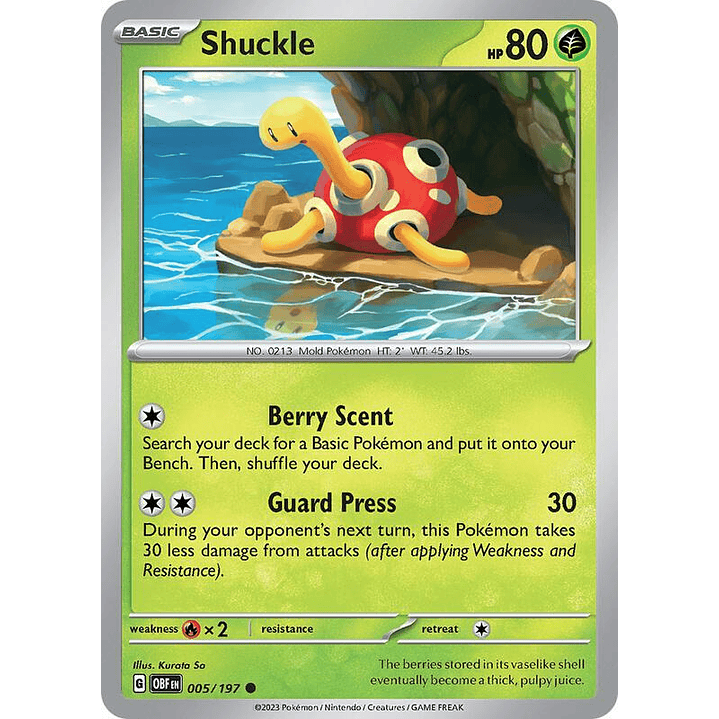 Shuckle #005 1