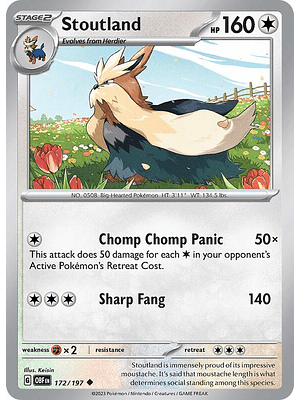 Stoutland #172