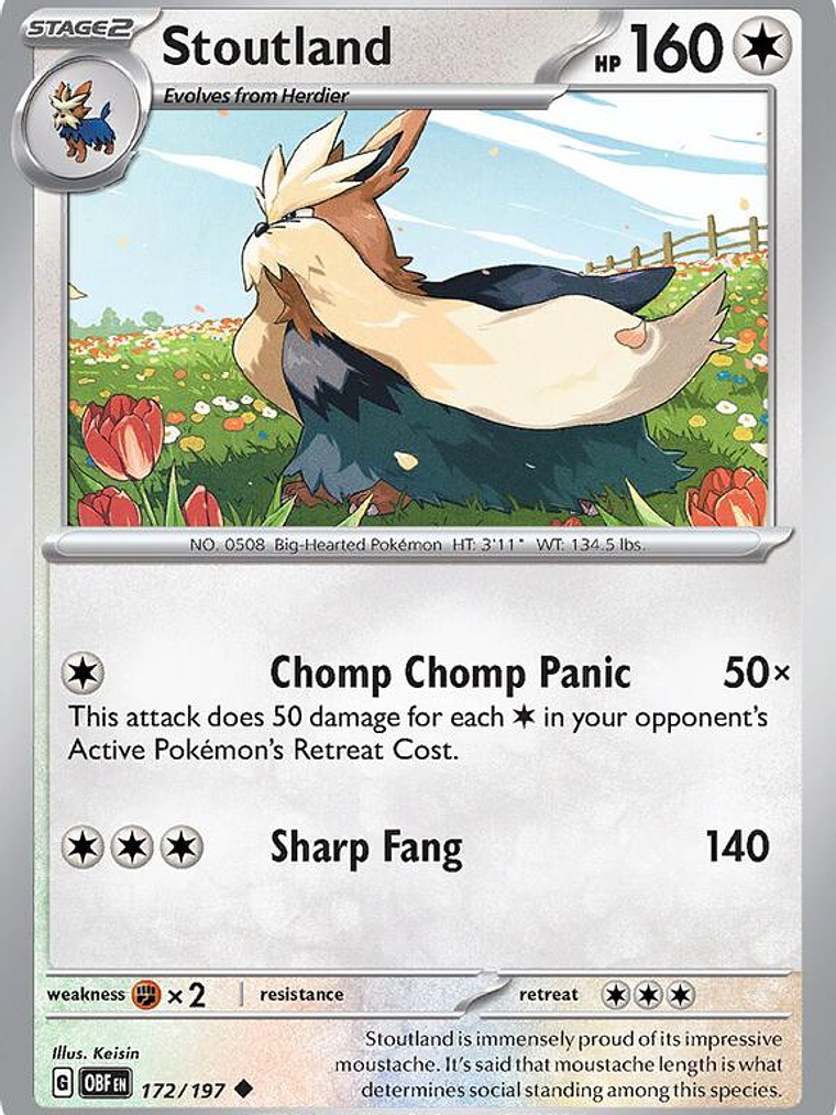 Stoutland #172 1