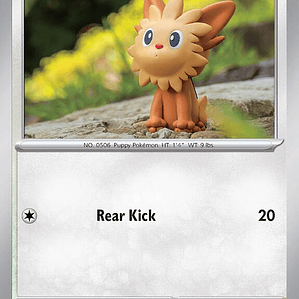 Lillipup #170