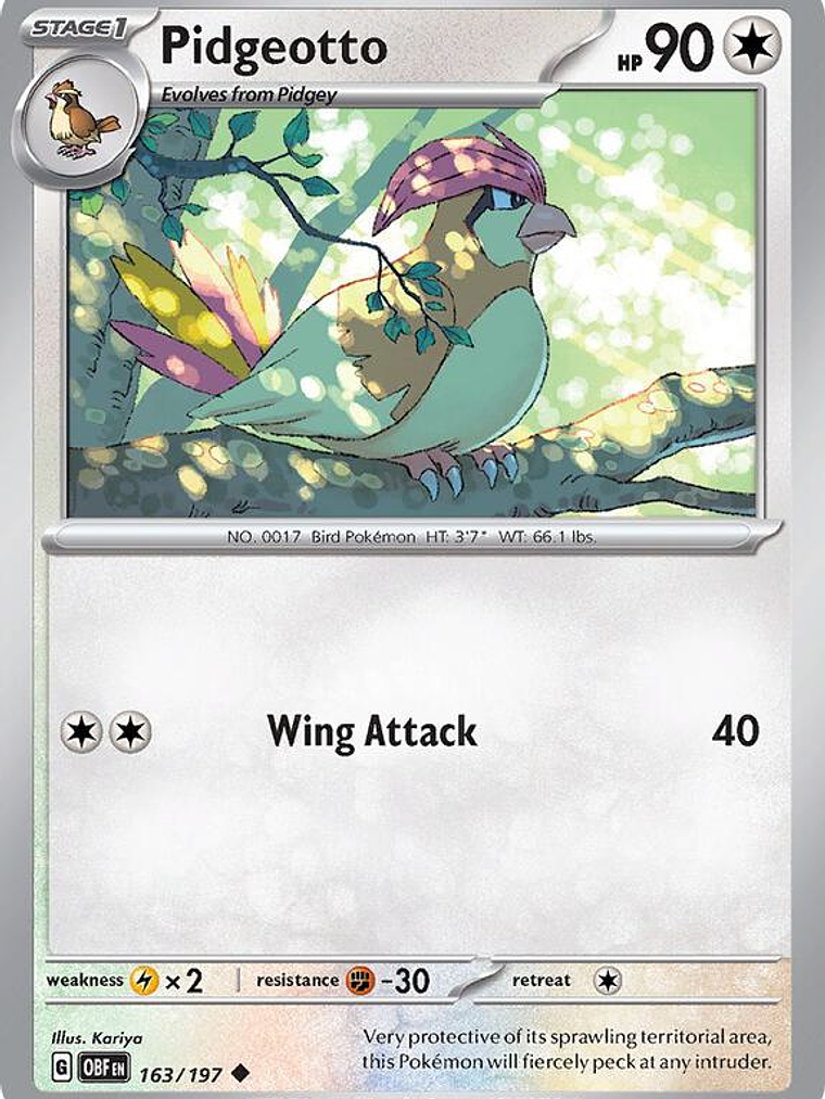 Pidgeotto #163 1