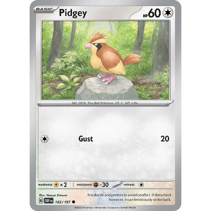 Pidgey #162 1