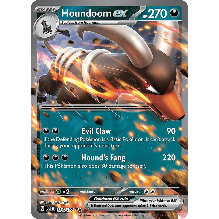 Houndoom ex #134 1
