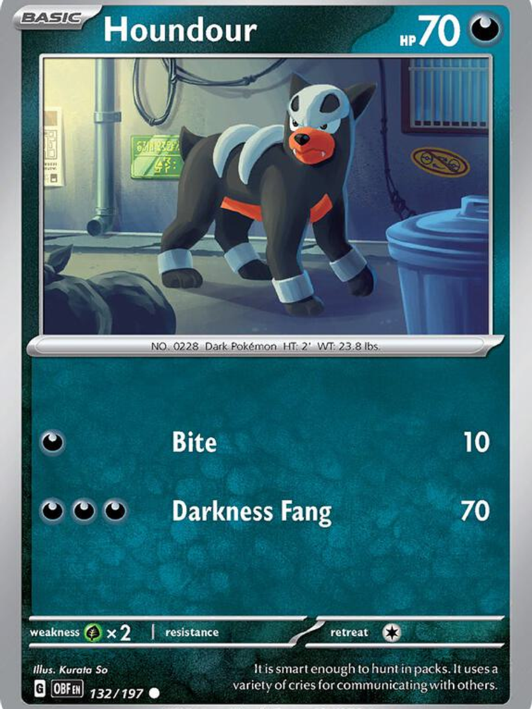 Houndour #132 1