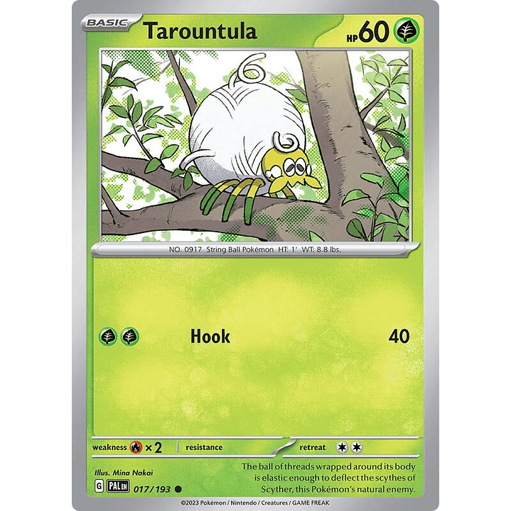 Tarountula #017 1