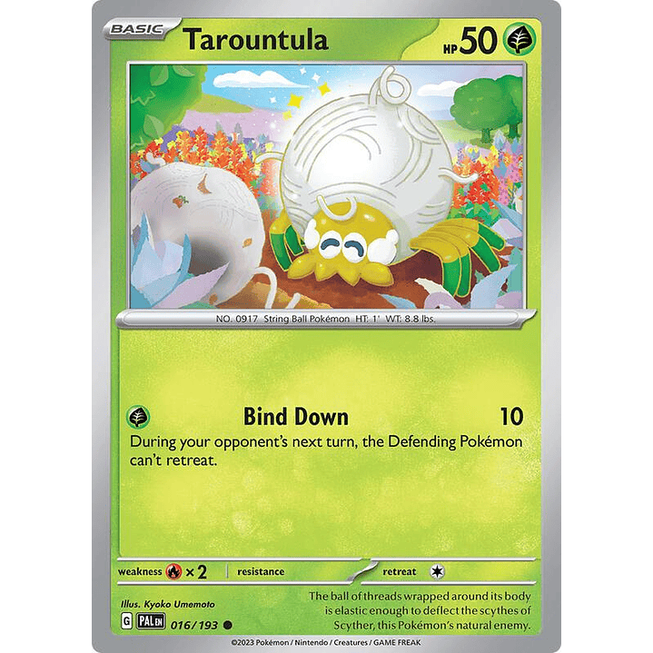 Tarountula #016 1