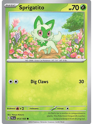 Sprigatito #013