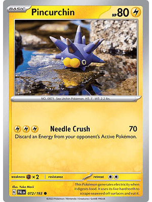Pincurchin #072