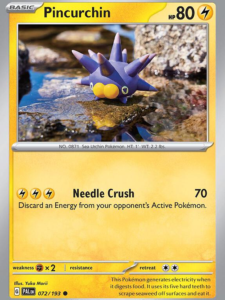 Pincurchin #072 1