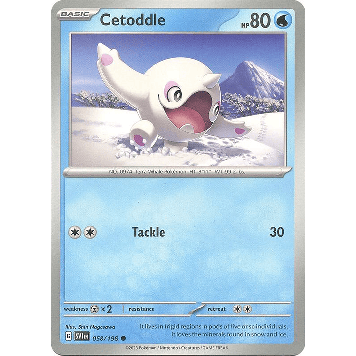 Cetoddle #058 1