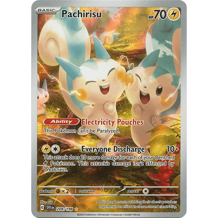 Pachirisu #208 1