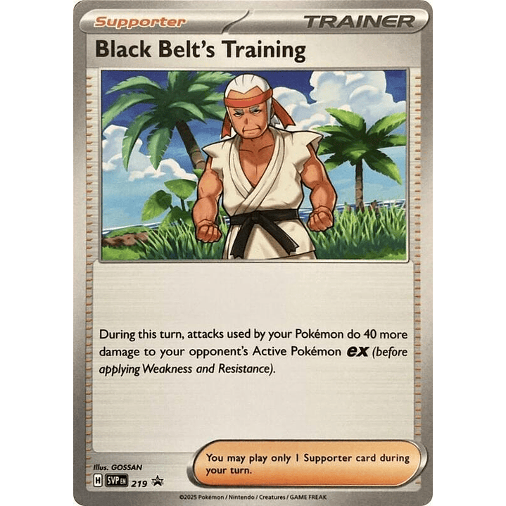 Black Belt's Training #219 1